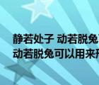靜若處子 動(dòng)若脫兔可以用來形容男人嗎為什么（靜若處子 動(dòng)若脫兔可以用來形容男人嗎）
