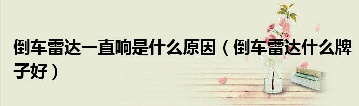 倒車雷達一直響是什么原因（倒車雷達什么牌子好）