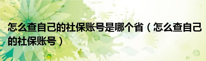 怎么查自己的社保賬號是哪個?。ㄔ趺床樽约旱纳绫Ｙ~號）