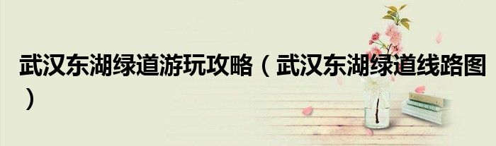 武漢東湖綠道游玩攻略（武漢東湖綠道線路圖）