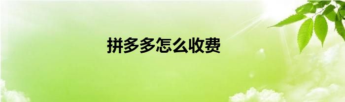 拼多多怎么收費(fèi)