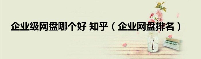企業(yè)級網(wǎng)盤哪個好 知乎（企業(yè)網(wǎng)盤排名）