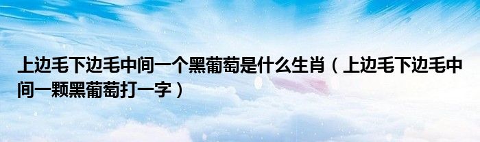 上邊毛下邊毛中間一個黑葡萄是什么生肖（上邊毛下邊毛中間一顆黑葡萄打一字）