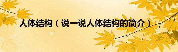 人體結(jié)構(gòu)（說一說人體結(jié)構(gòu)的簡(jiǎn)介）