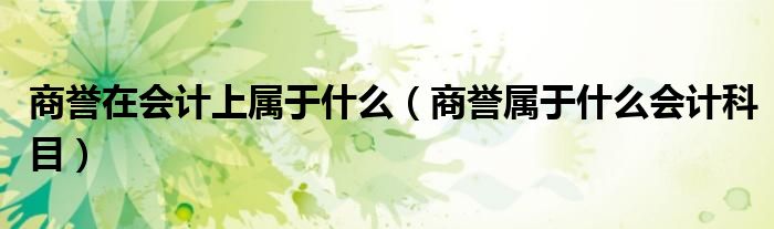 商譽在會計上屬于什么（商譽屬于什么會計科目）