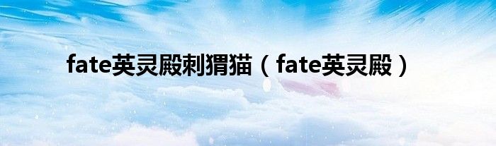 fate英靈殿刺猬貓（fate英靈殿）