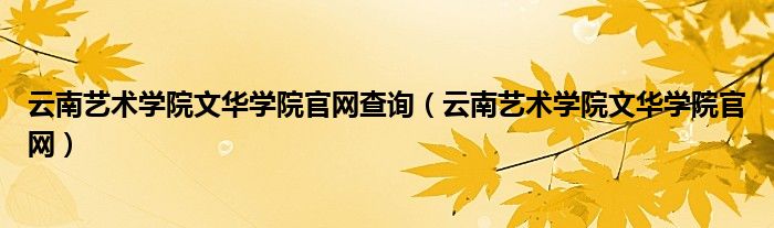 云南藝術學院文華學院官網查詢（云南藝術學院文華學院官網）