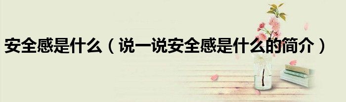 安全感是什么（說一說安全感是什么的簡介）