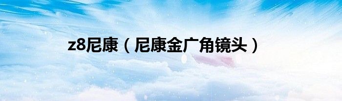 z8尼康（尼康金廣角鏡頭）