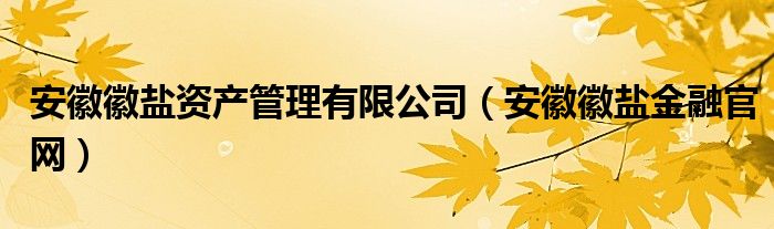 安徽徽鹽資產(chǎn)管理有限公司（安徽徽鹽金融官網(wǎng)）