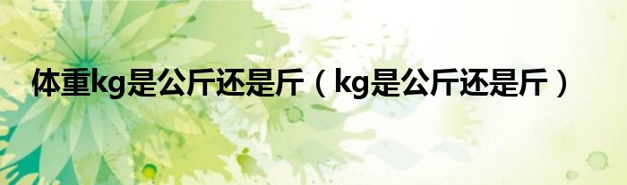 體重kg是公斤還是斤（kg是公斤還是斤）