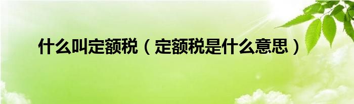 什么叫定額稅（定額稅是什么意思）