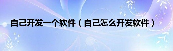 自己開發(fā)一個軟件（自己怎么開發(fā)軟件）