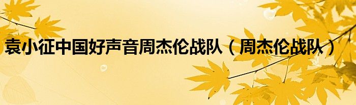 袁小征中國好聲音周杰倫戰(zhàn)隊（周杰倫戰(zhàn)隊）