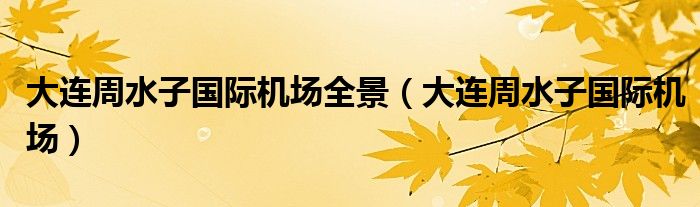 大連周水子國際機(jī)場全景（大連周水子國際機(jī)場）