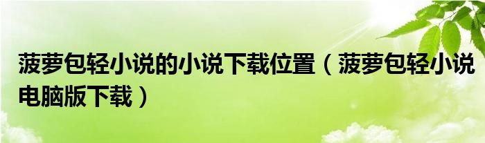 菠蘿包輕小說的小說下載位置（菠蘿包輕小說電腦版下載）