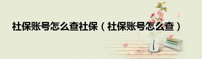 社保賬號怎么查社保（社保賬號怎么查）