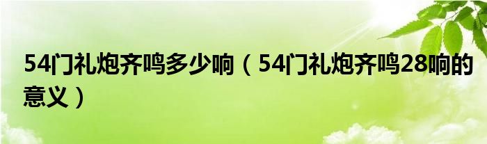 54門禮炮齊鳴多少響（54門禮炮齊鳴28響的意義）