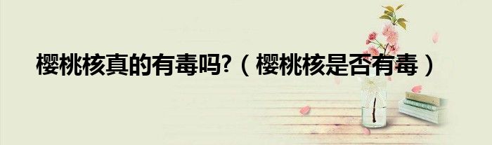 櫻桃核真的有毒嗎?（櫻桃核是否有毒）