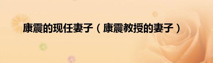康震的現(xiàn)任妻子（康震教授的妻子）