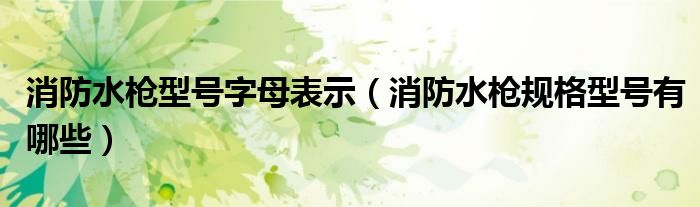 消防水槍型號字母表示（消防水槍規(guī)格型號有哪些）