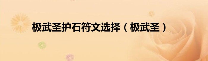極武圣護(hù)石符文選擇（極武圣）