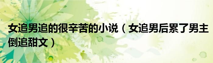 女追男追的很辛苦的小說（女追男后累了男主倒追甜文）