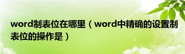word制表位在哪里（word中精確的設(shè)置制表位的操作是）