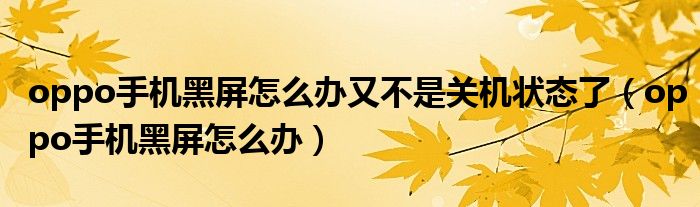 oppo手機黑屏怎么辦又不是關(guān)機狀態(tài)了（oppo手機黑屏怎么辦）