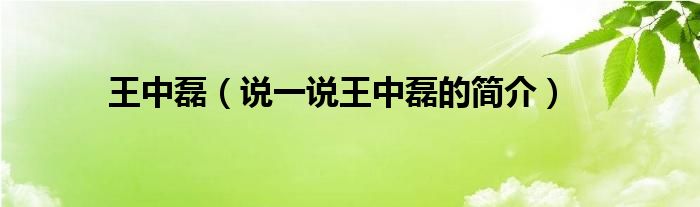 王中磊（說(shuō)一說(shuō)王中磊的簡(jiǎn)介）