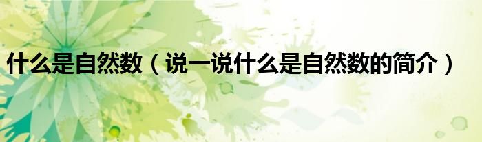 什么是自然數(shù)（說一說什么是自然數(shù)的簡介）
