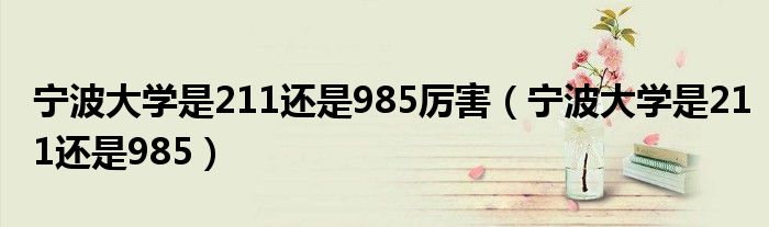 寧波大學是211還是985厲害（寧波大學是211還是985）