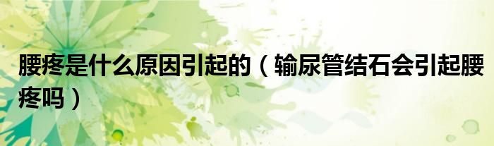腰疼是什么原因引起的（輸尿管結石會引起腰疼嗎）