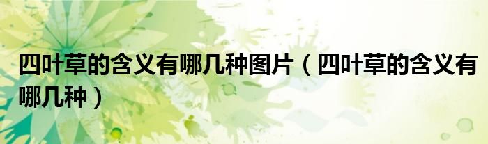 四葉草的含義有哪幾種圖片（四葉草的含義有哪幾種）