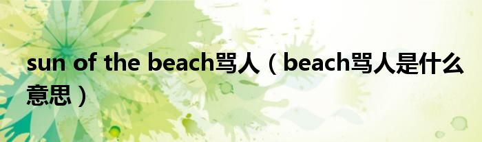 sun of the beach罵人（beach罵人是什么意思）