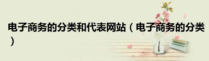 電子商務(wù)的分類和代表網(wǎng)站（電子商務(wù)的分類）