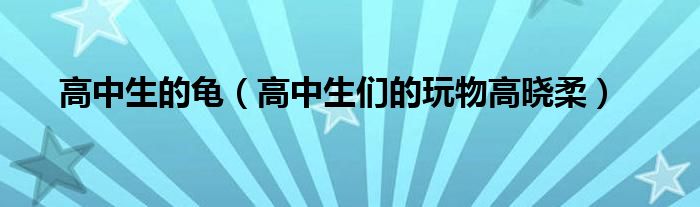 高中生的龜（高中生們的玩物高曉柔）