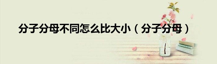 分子分母不同怎么比大?。ǚ肿臃帜福? />
                                         </a>
                                    </div>
                                 <div   id=