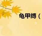 龜甲縛（說(shuō)一說(shuō)龜甲縛的簡(jiǎn)介）