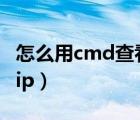 怎么用cmd查看網(wǎng)速多少K（怎么用cmd查看ip）
