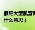 假肥大型肌營養(yǎng)不良（假肥大型肌營養(yǎng)不良是什么意思）