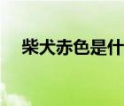 柴犬赤色是什么顏色（赤色是什么顏色）