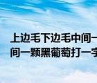 上邊毛下邊毛中間一個(gè)黑葡萄是什么生肖（上邊毛下邊毛中間一顆黑葡萄打一字）