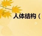 人體結(jié)構(gòu)（說一說人體結(jié)構(gòu)的簡介）