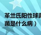 革蘭氏陽性球菌陽性是什么?。ǜ锾m氏陽性球菌是什么?。?/>
                                    </a>
                                                </div>
                                    <div   id=