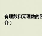 有理數(shù)和無理數(shù)的區(qū)別（說一說有理數(shù)和無理數(shù)的區(qū)別的簡介）
