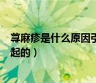 蕁麻疹是什么原因引起的要注意什么（蕁麻疹是什么原因引起的）