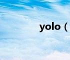 yolo（說(shuō)一說(shuō)yolo的簡(jiǎn)介）