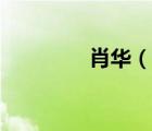 肖華（說一說肖華的簡介）