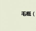 毛概（說一說毛概的簡(jiǎn)介）